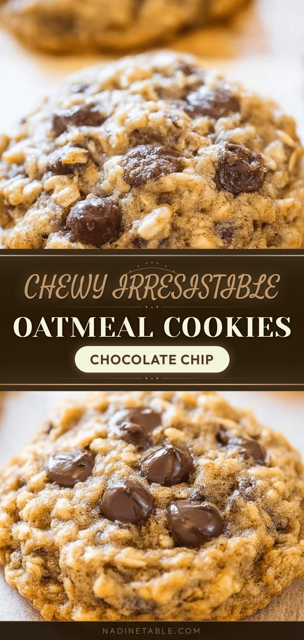 chewy oatmeal chocolate chip cookies recipe